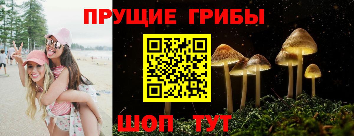 Псилоцибиновые грибы Psilocybe Нижний Тагил